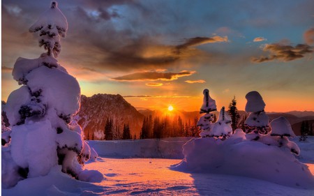 cold flame - clouds, krange, trees, winter, sunset, purple, snow, sky