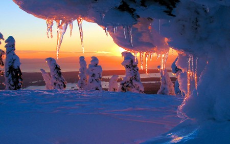 the end - ice, trees, winter, sunset, purple, snow, orange