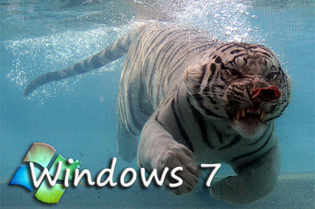 Underwater Windows7 - white, microsoft, windows 7, underwater, windows, tiger