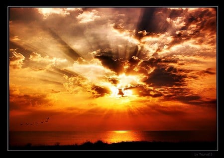 Scattered - rays, sky, birds in flight, water, shore, sunset, gold, reflection, clouds, orange, scattered