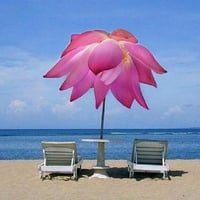 Rosey day at the beach