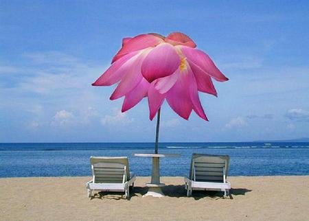 Rosey day at the beach - white, sand, chairs, beach, rose umbrella, blue sky, ocean, blue