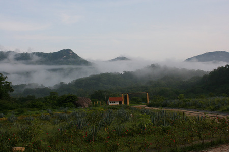 Morning fog - sky, fog, green, mountains, mornig