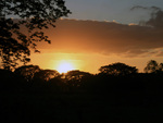 Savana sunset