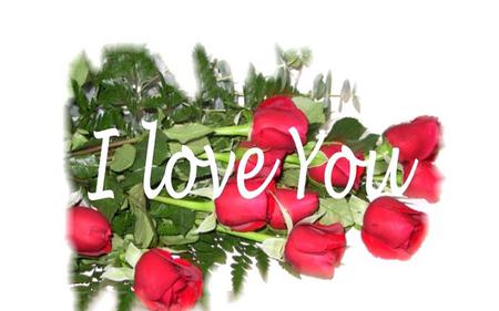 I Love You - flowers, red roses, love, message