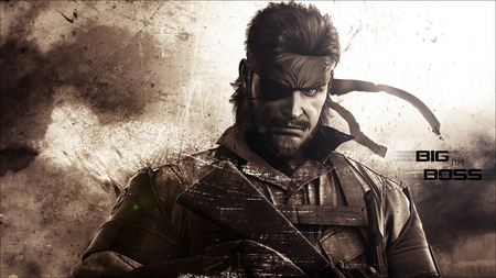 big boss - zaph, big boss, boss, war, fight