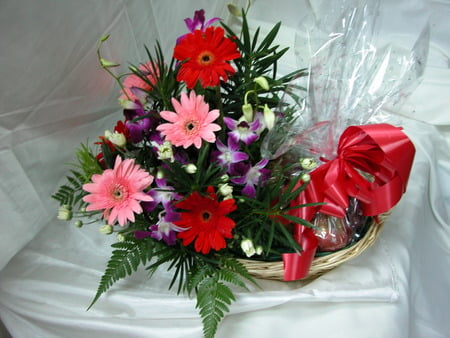 Gerberas and orchids - orchids, gerberas, red ribbon, fern leaves, flowers, bouquet, basket