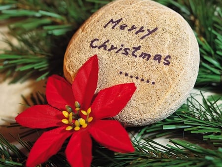 Merry Christmas - christmas, green pine needles, stone, poinsettia, words, flower