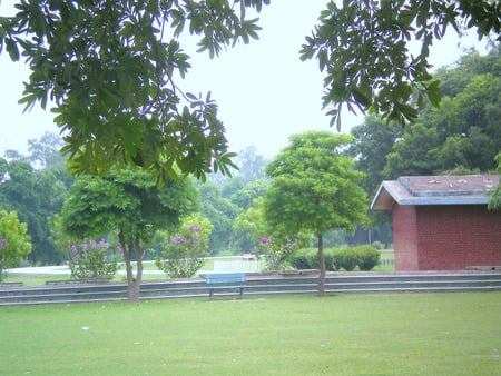 Park - flowers, lahore, nature, park