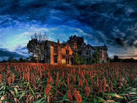 Forgotten Times - fields, farm, loved, memories, age