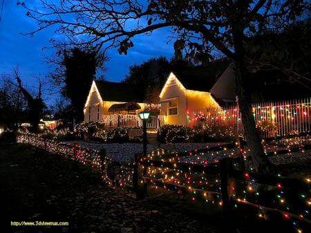 Christmas lights - trees, night, house, christmas, lights