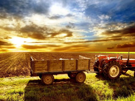 Your Simply Beautiful - wagons, farms, decent, crops, tractors