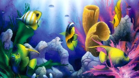 Natures Aquarium - fish, water, corral, swimming