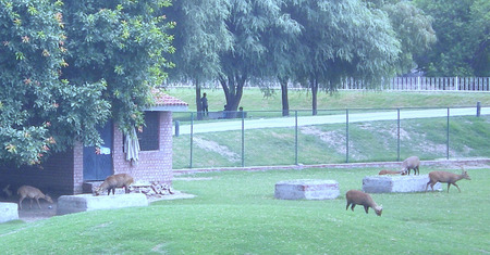 Deer house in park of Lahore - amusement park, deer house, lahore, architect