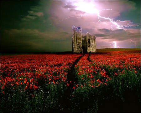 Once upon long ago - stone, sky, castle in ruins, clouds, red flowers, field, darkness, streaks of lightning