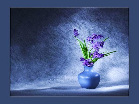 Singularly purple - blue vase, blue background, light, green leaveves, purple flowers