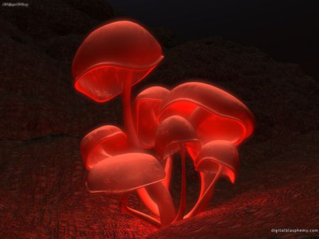 Glowing Red, - mushrooms, hot, lights, red