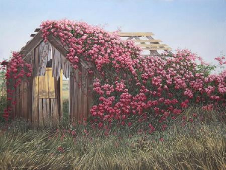 Old Barn with Roses - roses, open field, wood, grass, old barn