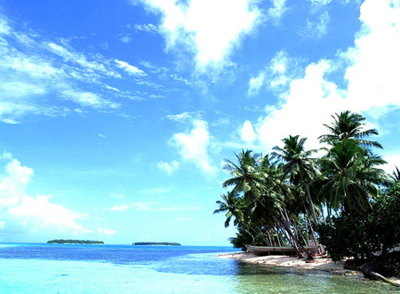 Island - water, sea, palmtrees, blue