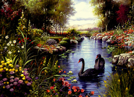 Black Beauties - flowers, clouds, trees, swans, water, lake, black swans, rocks