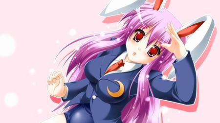 Resin - resin, rabbit, pink, touhou