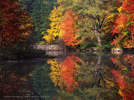 Fresh Days Of Fall - lake, colours, fall, cottage