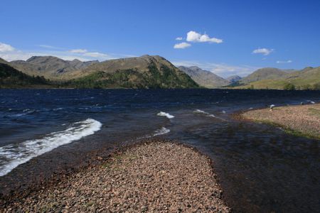 Scotland - Loch Arkaig - lochs, scotland, scenery, lakes