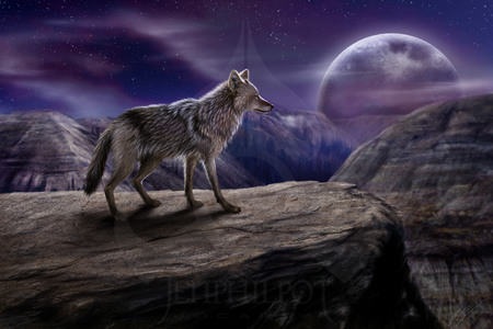 wolf alone - moon, landscapes, nature, wolf