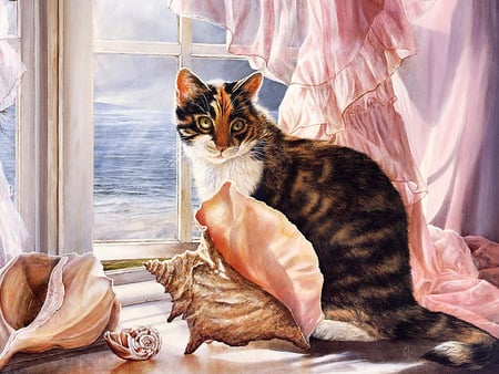 Seaside   ( For TAM ) - shells, window, cat, curtain