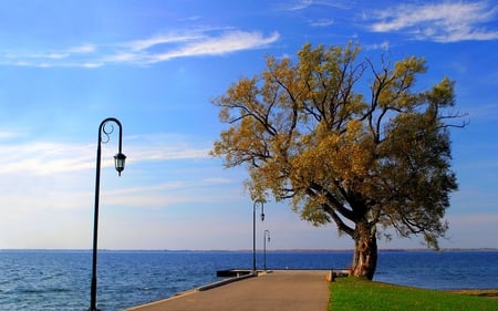 FRESH WALK ZONE - clouds, lamp posts, grass, field, ocean, pathway, tree