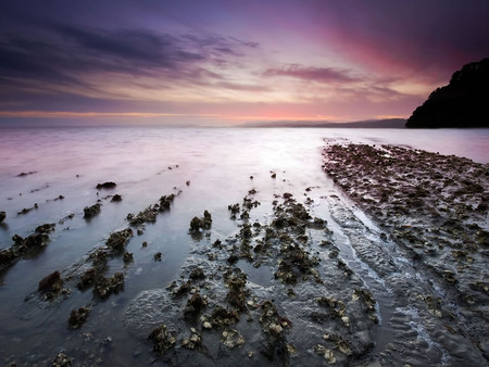 Beautiful Nature - sky, ocean, lovely, nature, purple, pink, clouds, blue, beautiful