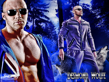 Desmond Wolfe - desmond, nonstop, wolfe, wolf, total, desmonde, tna, wrestling, fortune, action