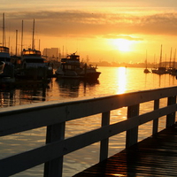 Dawn at the Landing