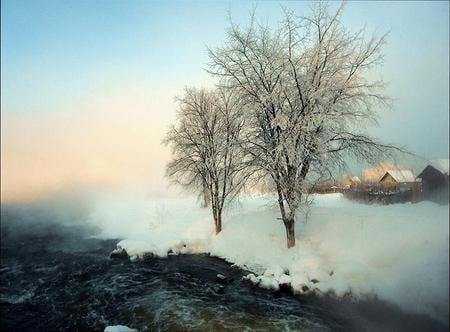 Winter hues - light blue sky, cold, trees, snow, winter, cabin, waters edge, mist