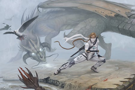 dragon trained ninja - ninja, white, dragon, cg