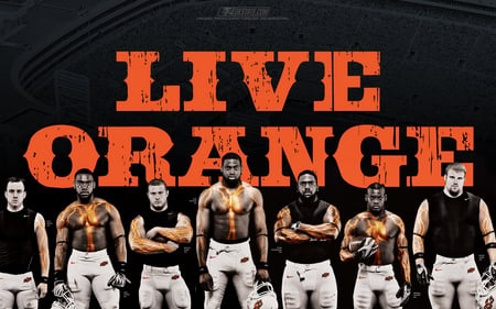 Live Orange - OSU Cowboys - oklahoma state, football, cowboys, osu