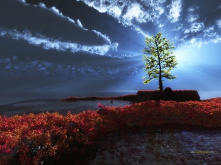 Chinese Carpet - tree, flowers, chinese, sun