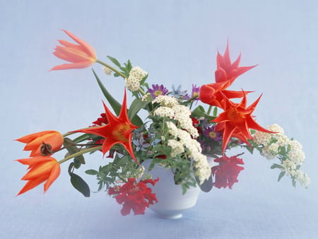 Floral beauty - white, bowl, flowers, vase, photography, colours, still life, spray