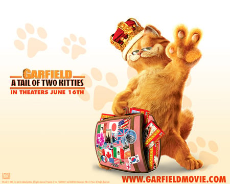 garfield - makota, garfield, bag, beautiful