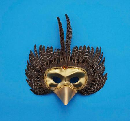 Bird Mask - feathered, mardi gras, mask, bird