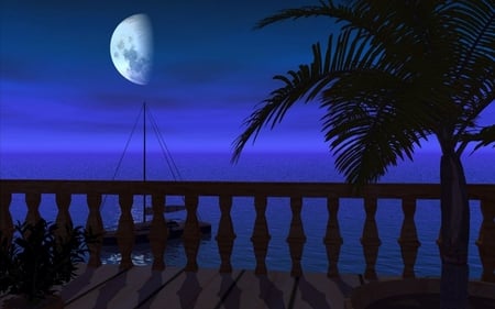 BLUE MOON - moon, sail boat, blue, balcony, ocean, palm tree