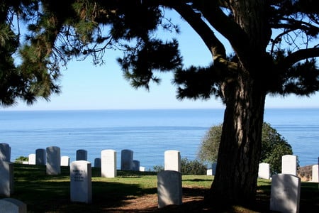 Some Gave All - ocean, trees, cemetaries, tombstones