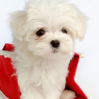 So cute