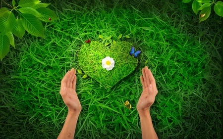 Heart of nature - hands, butterfly, heart, green, grass