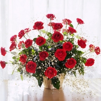 Red roses