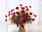 Red roses