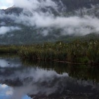 Mirror lake