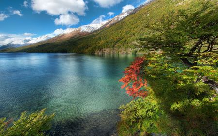 circumnavigating-the-lake - lake, circumnavigating, flowers, trees, nature