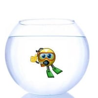 Fish Bowl Smiley