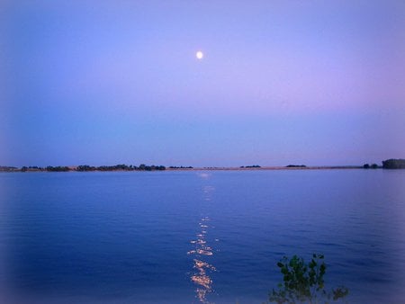 Moonglow - moon, lake, night, summer